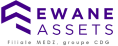 Logo Ewane Assets